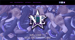 Desktop Screenshot of noreasternstorm.com